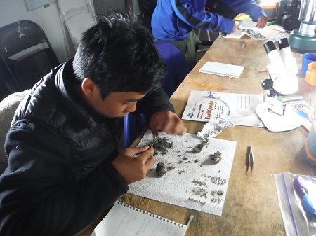 Native Alaskan student