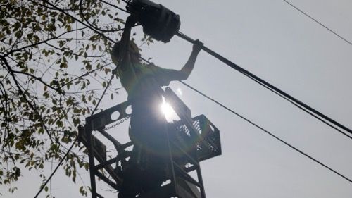 A utility worker is attaching a fiber line lifted into air by ladder truck near a tree branch